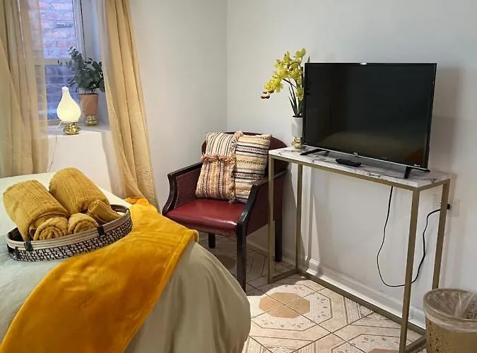 Chicago-pilsen Boho With Free Parking - Unit C * Chicago